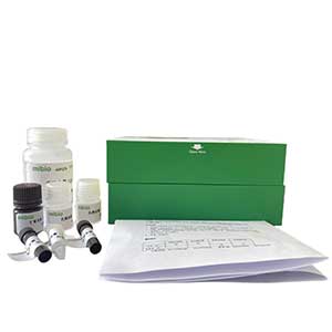 線粒體呼吸鏈復合體Ⅰ/NADH輔酶Q還原酶測試盒/微量法主圖